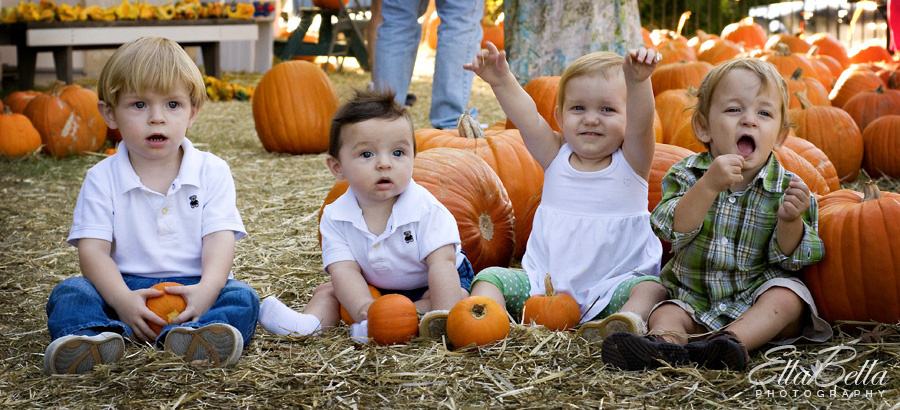 20081018_pumpkinpatch08_0265-web