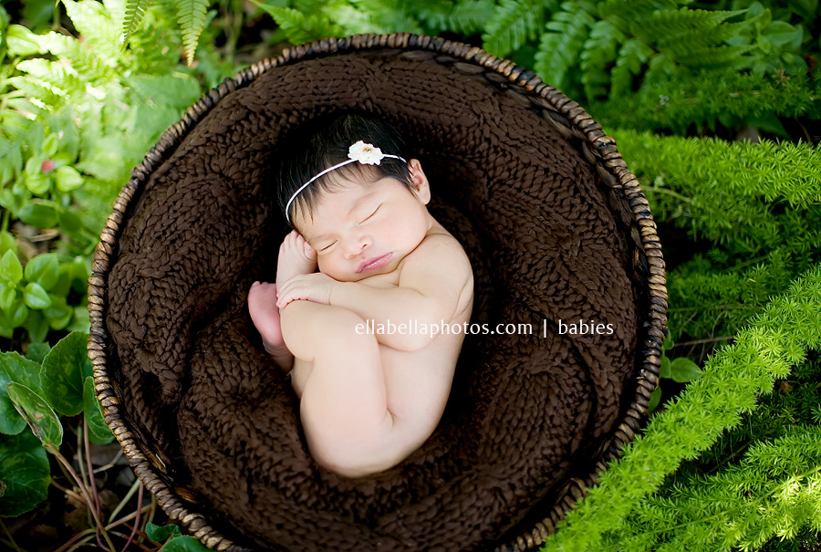 img_9414web