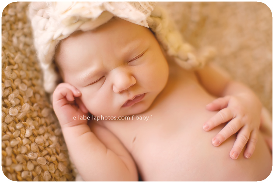 Austin Newborn Photographer