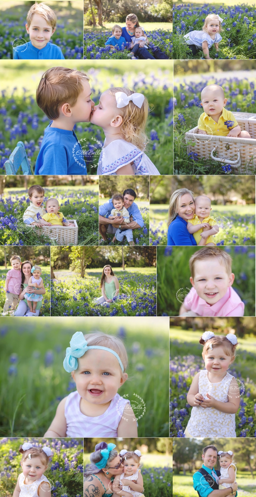 bluebonnets_day2web